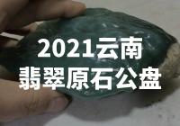 【惊艳！2021云南翡翠原石公盘曝光】